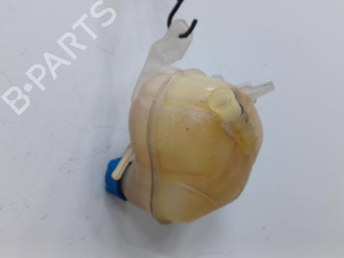 Used Expansion tank FIAT PUNTO EVO (199_) 1.3 D Multijet (199AXC1A, 199BXC1A, 199AXT1A, 199BXT1A) (75 hp) 20423851