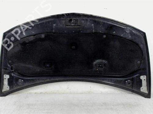 Used Hood RENAULT CLIO III (BR0/1, CR0/1) 1.5 dCi (BR0H, CR0H, CR1S, BR1S) (106 hp) 20442906