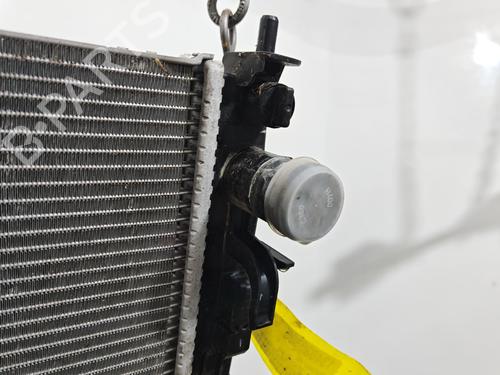 Used Water radiator Water radiator DACIA SANDERO III 1.0 SCe 65 (67 hp) 40116310 40116310