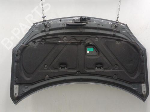 Hood RENAULT KOLEOS I (HY_) 2.0 dCi (HY0K) | BP20450527C1
