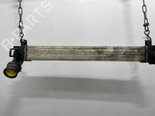 Intercooler RENAULT MEGANE III Hatchback (BZ0/1_, B3_) 1.5 dCi (BZ09, BZ0D, BZ1W, BZ29, BZ14) (110 hp) 27294297
