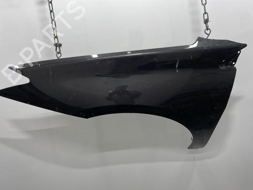 Used Left front fenders RENAULT LAGUNA III (BT0/1) 2.0 dCi (BT07, BT0J, BT14, BT1A, BT1S) (131 hp) 20420294