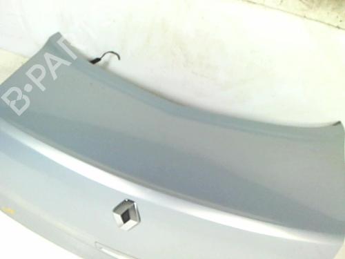Tailgate RENAULT MEGANE II Saloon (LM0/1_) 1.9 dCi (LM0G, LM1G, LM2C) | BP20465959C6 