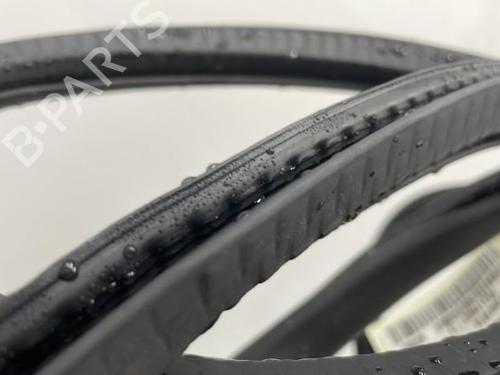Used Rubber door seal VW POLO IV (9N_, 9A_) 1.9 SDI (64 hp) 20441711