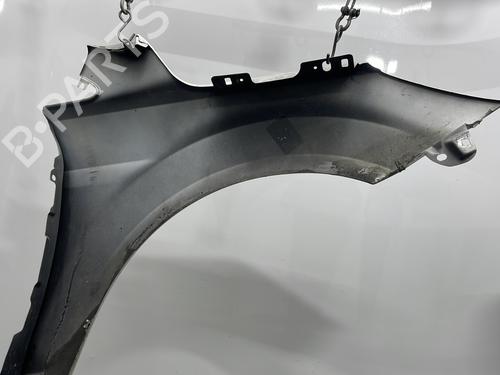 Left front fenders FORD FOCUS II (DA_, HCP, DP) 1.6 TDCi | BP29491179C41 