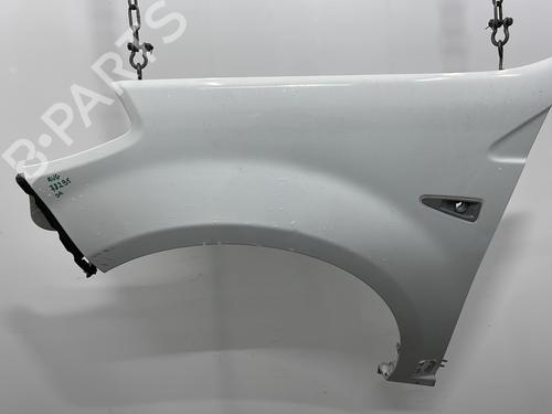 Used Left front fenders DACIA SANDERO 1.4 (BS0C, BS0A, BS0G, BS1F, BS0E) (75 hp) 31839502