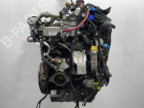 Engine RENAULT MEGANE III Hatchback (BZ0/1_, B3_) 1.9 dCi (BZ0N, BZ0J) | BP31817562M1 