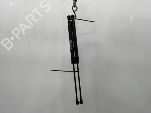 Tailgate lift support DACIA SANDERO II 1.2 | BP20420575C138 