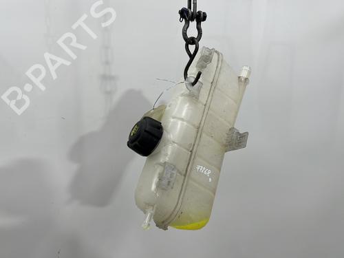 expansion-tank-renault-zoe-bfm_-2012-27187014 main image