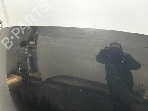 Hood FORD S-MAX (WA6) 2.0 TDCi | BP25445316C1