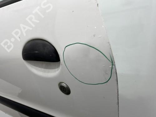 Left front door PEUGEOT 206+ (2L_, 2M_) 1.4 HDi eco 70 | BP22102993C2 