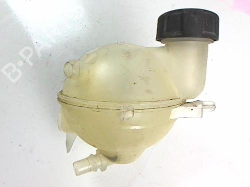 Expansion tank CITROËN C4 II (NC_) 1.6 HDi 90 | BP20426110C120 