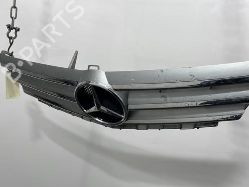 Grille MERCEDES-BENZ A-CLASS (W169) A 180 CDI (169.007, 169.307) | BP29760113C40 