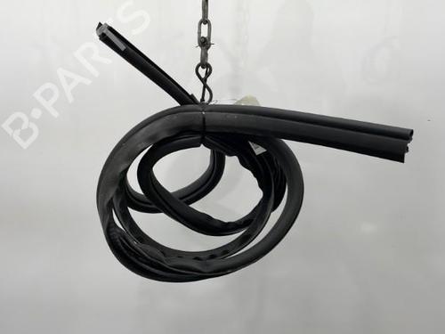 Used Rubber door seal FORD C-MAX (DM2) 1.8 TDCi (115 hp) 20439064