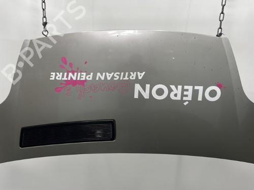 Hood OPEL VIVARO A Van (X83) 2.0 CDTI (F7) | BP20418389C1