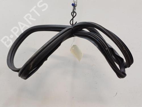 Rubber door seal FIAT GRANDE PUNTO (199_) 1.3 D Multijet (199.AXD11, 199.AXD1A, 199.AXD1B,... | BP20449870C142 