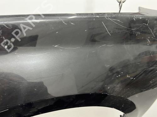 Left front fenders RENAULT LAGUNA III (BT0/1) 2.0 dCi (BT07, BT0J, BT14, BT1A, BT1S) | BP20406699C41 