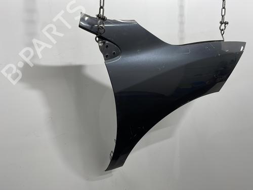 Right front fenders RENAULT MEGANE III Hatchback (BZ0/1_, B3_) 1.5 dCi (BZ09, BZ0D, BZ1W, BZ29, BZ14) | BP20441901C42 
