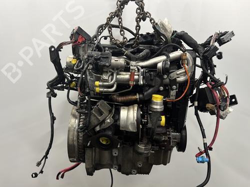 Engine RENAULT MEGANE III Coupe (DZ0/1_) 1.5 dCi (DZ09, DZ0D, DZ1F, DZ1G, DZ14, DZ29) | BP32275917M1