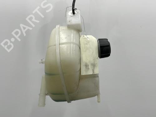 Ekpansionstank Ekpansionstank RENAULT KOLEOS II (HC_) 2.0 dCi 175 (HCAK) (177 hp) 20400823 20400823