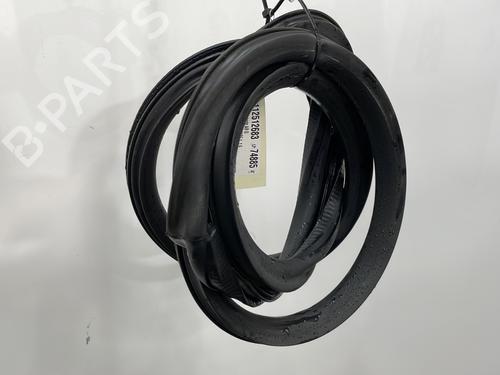 Rubber door seal SEAT IBIZA IV (6J5, 6P1) 1.6 TDI | BP29638769C142 