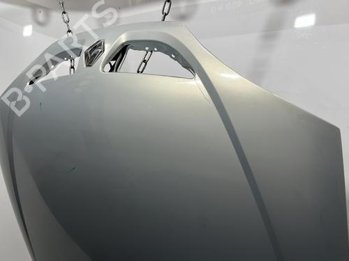 Hood RENAULT MEGANE I (BA0/1_) 1.9 dTi (BA08, BA0N) | BP30115584C1