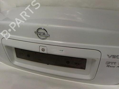 Tailgate OPEL VECTRA B (J96) 1.6 i (F19) | BP20456865C6 