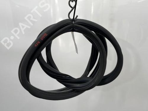 Used Rubber door seal RENAULT CLIO III (BR0/1, CR0/1) 1.5 dCi (BR17, CR17) (86 hp) 20438934