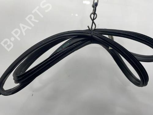 Used Rubber door seal FORD FIESTA VI (CB1, CCN) 1.4 TDCi (68 hp) 20419840
