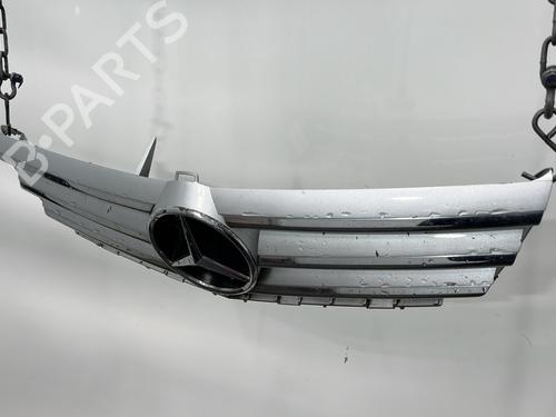 Grille MERCEDES-BENZ A-CLASS (W169) A 180 CDI (169.007, 169.307) | BP29749583C40 