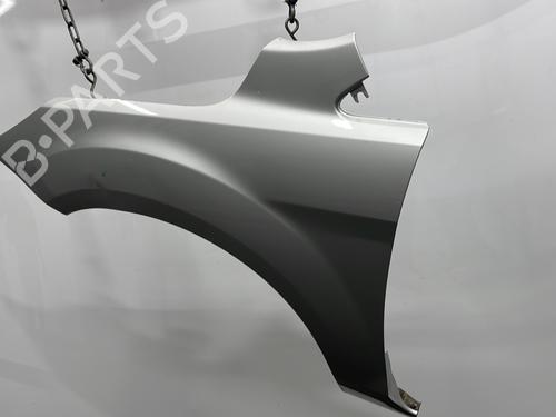 Left front fenders FORD FOCUS II (DA_, HCP, DP) 1.6 TDCi | BP29491179C41 