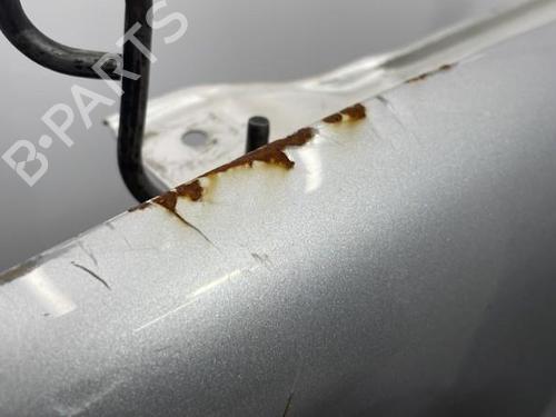 Left front fenders SUZUKI IGNIS II (MH) 1.3 DDiS (RM413D) | BP22102854C41 