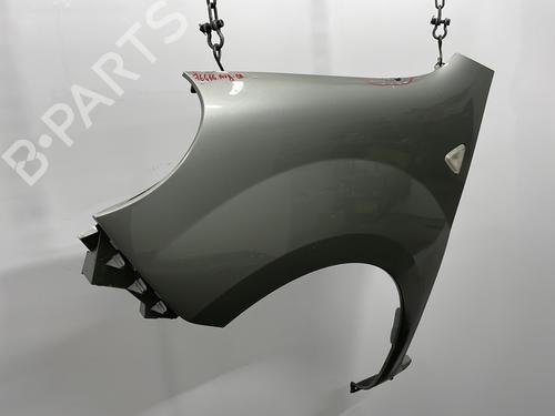 Left front fenders RENAULT KANGOO / GRAND KANGOO II (KW0/1_) 1.5 dCi 90 (KW05, KW08, KW0G, KW11) | BP24596431C41 