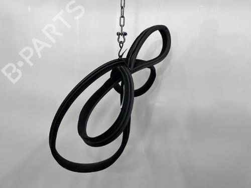 Used Rubber door seal MERCEDES-BENZ M-CLASS (W164) ML 320 CDI 4-matic (164.122) (224 hp) 20420024