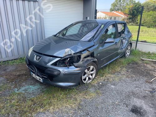 Borracha vedante da porta PEUGEOT 307 (3A/C) 1.6 HDi 110 | BP36337639C142 - Image 4