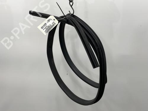 Rubber door seal FORD FIESTA VI (CB1, CCN) 1.4 TDCi | BP24468315C142 