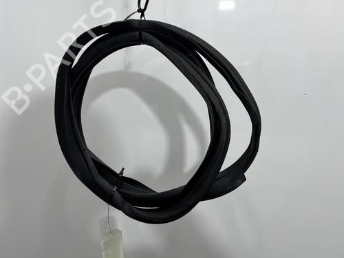 Used Rubber door seal FIAT PANDA (169_) 1.2 LPG (169CXF1A) (69 hp) 31216219