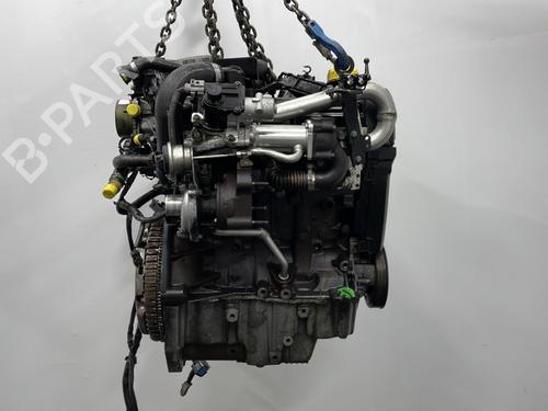 Engine NISSAN MICRA III (K12) 1.5 dCi | BP20438454M1 