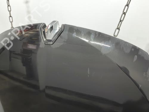 Hood RENAULT MEGANE III Coupe (DZ0/1_) 1.5 dCi (DZ0B) | BP22756847C1 