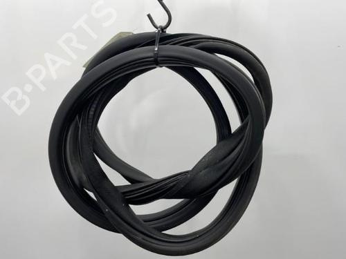 Used Rubber door seal RENAULT CLIO III (BR0/1, CR0/1) 1.5 dCi (C/BR0G, C/BR1G) (68 hp) 20389250