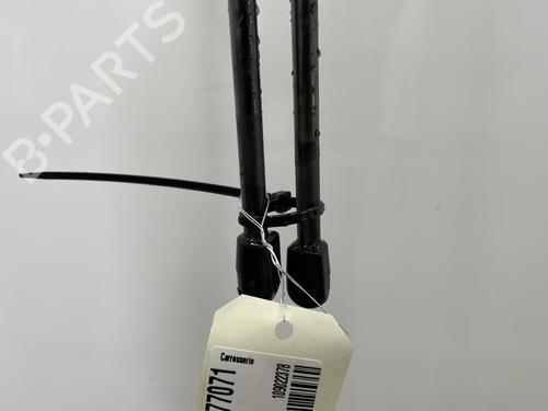 tailgate-lift-support-ford-kuga-ii-dm2-2012-27518971 main image