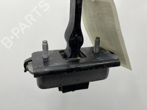 Hinge/Door check strap PEUGEOT 208 I (CA_, CC_) 1.6 GTi | BP22599968C146 