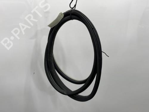 Used Rubber door seal CITROËN C4 Picasso I MPV (UD_) 1.6 HDi (109 hp) 20389278
