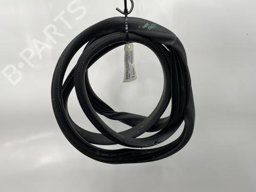 Used Rubber door seal RENAULT ZOE (BFM_) ZOE (88 hp) 25122677