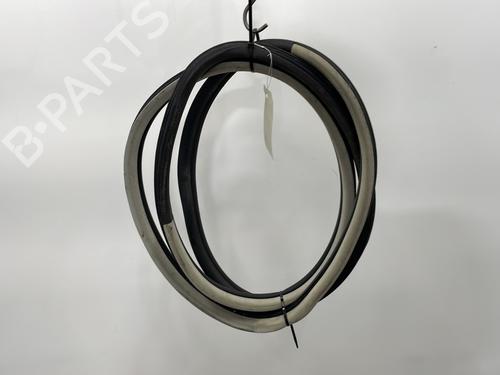 Rubber door seal CITROËN C4 Grand Picasso I (UA_) 1.6 HDi 110 0000902485