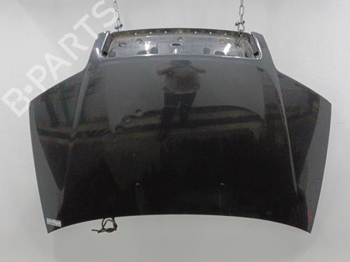 Hood FIAT PUNTO (188_) 1.2 60 (188.030, .050, .130, .150, .230, .250) | BP22102517C1 