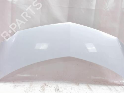 Used Hood Hood 20475874 20475874