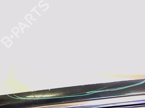 Left front door JAGUAR S-TYPE II (X200) 3.0 V6 | BP20471118C2 
