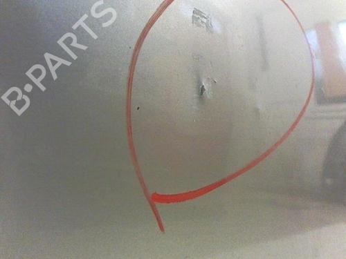 Left front door NISSAN PRIMERA Hatchback (P12) 2.2 dCi | BP20461727C2 