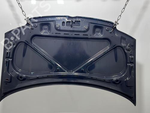 Hood FIAT PANDA (169_) 1.2 LPG (169CXF1A) | BP31216216C1 